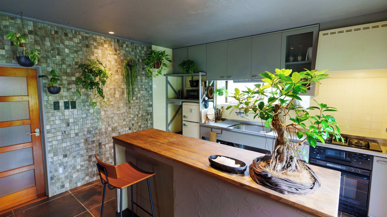 Photo of Kitchen in Tatsugo