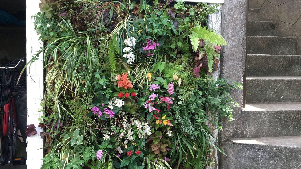 Photo of Outdoor in Kamakura