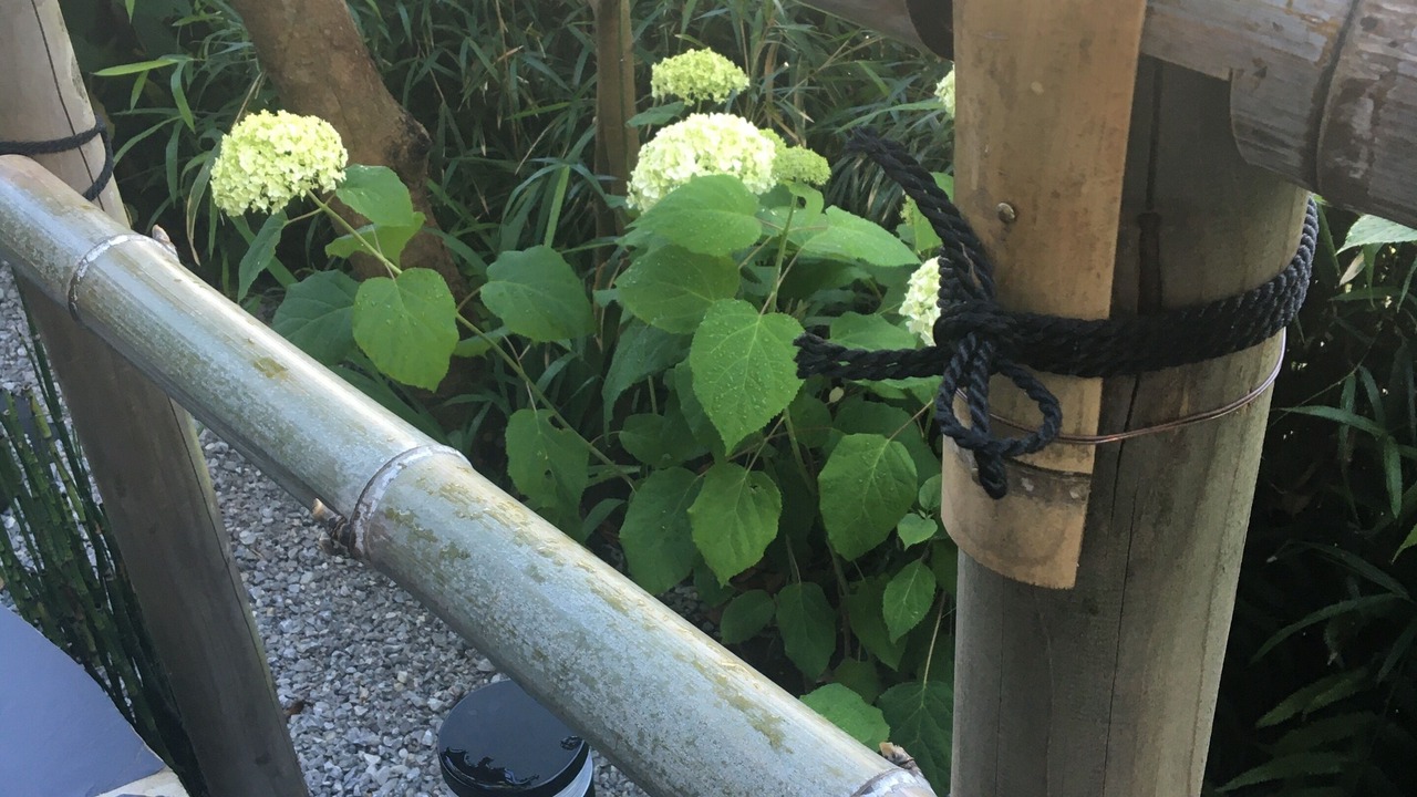 Photo of Outdoor in Kamakura