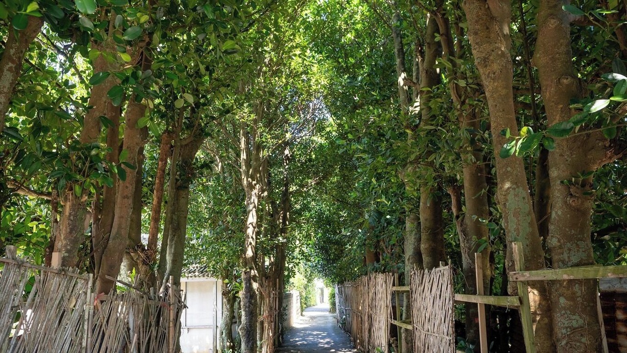 Photo of Outdoor in Imadomari