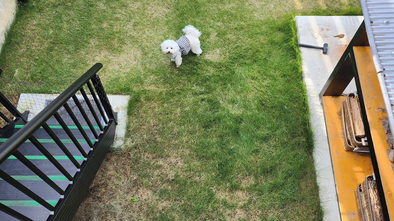 Photo of Outdoor in Shikokuchuo