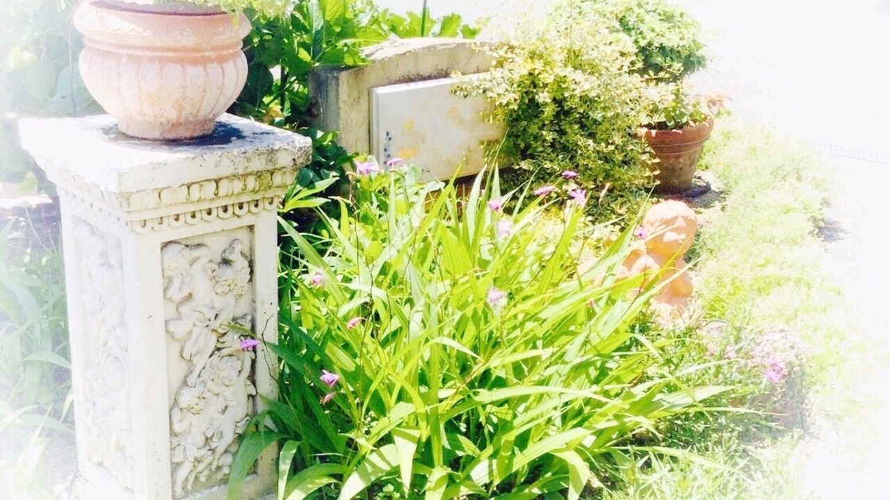 Photo of Outdoor in Sumoto