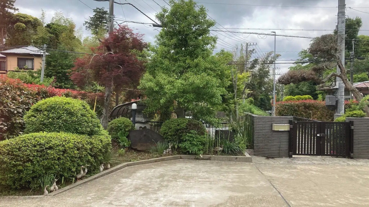 Photo of Outdoor in Sakura