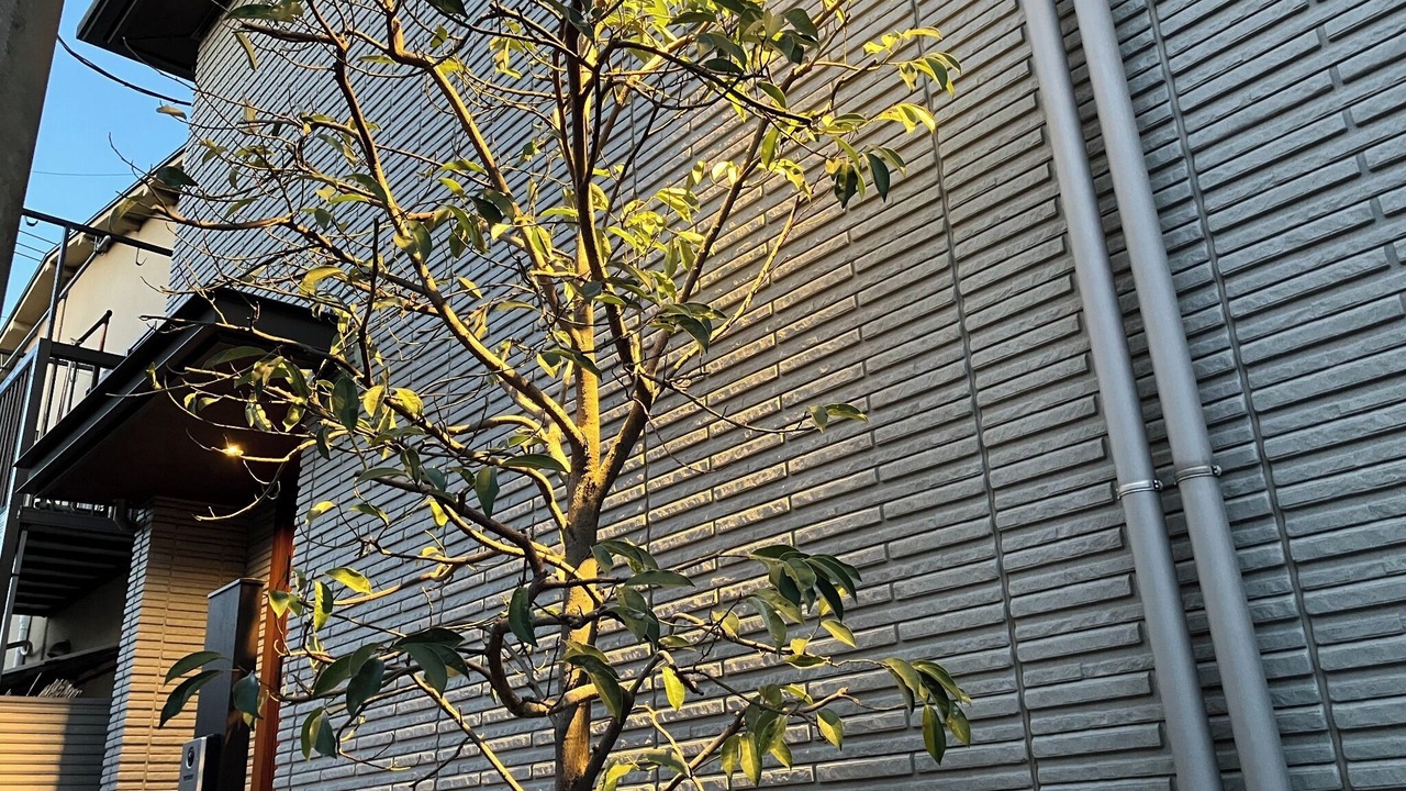 Photo of Outdoor in Tokorozawa