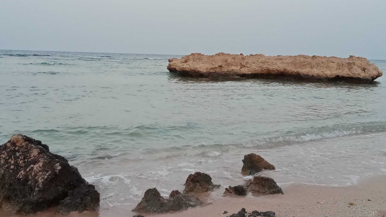 Photo of Others in Makadi Bay