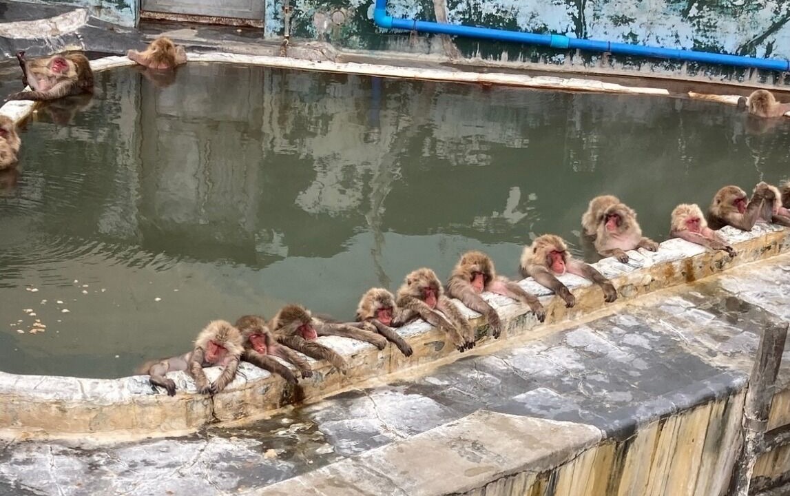 Photo of Others in Hakodate