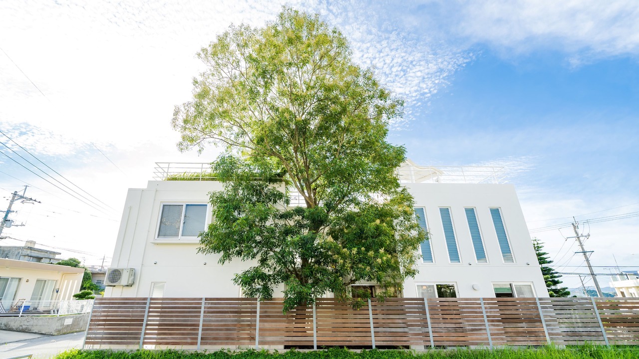 Photo of Outdoor in Kadena-cho