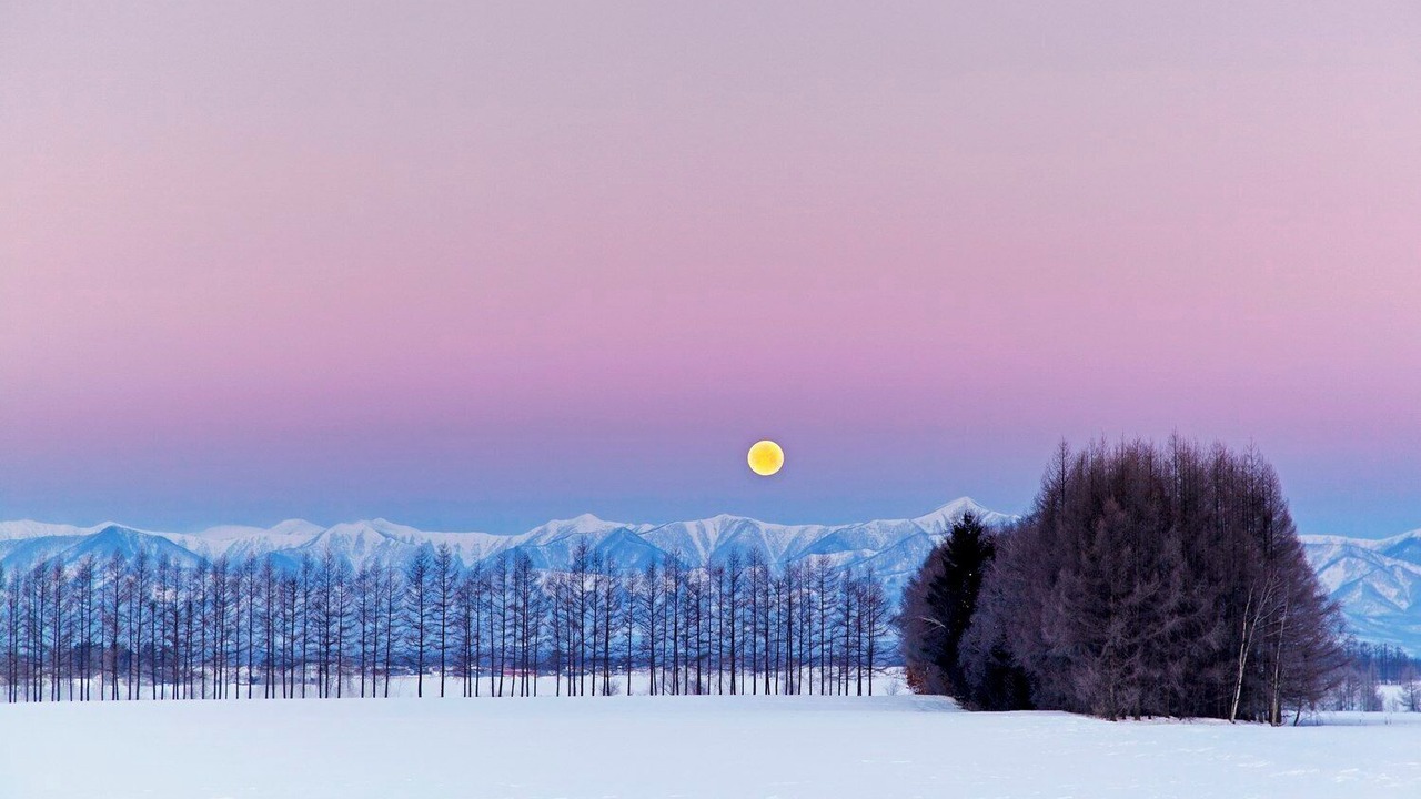 Photo of Others in Asahikawa