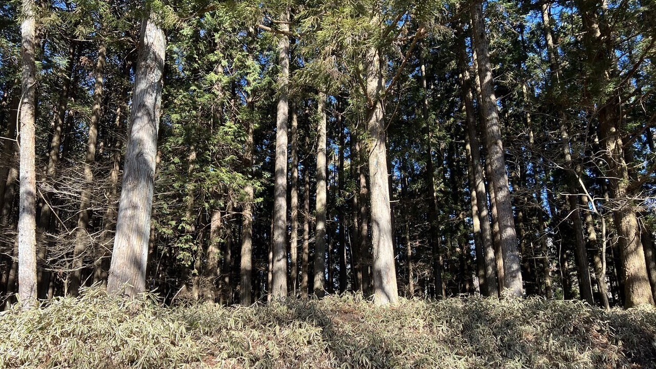 Photo of Others in Nikko