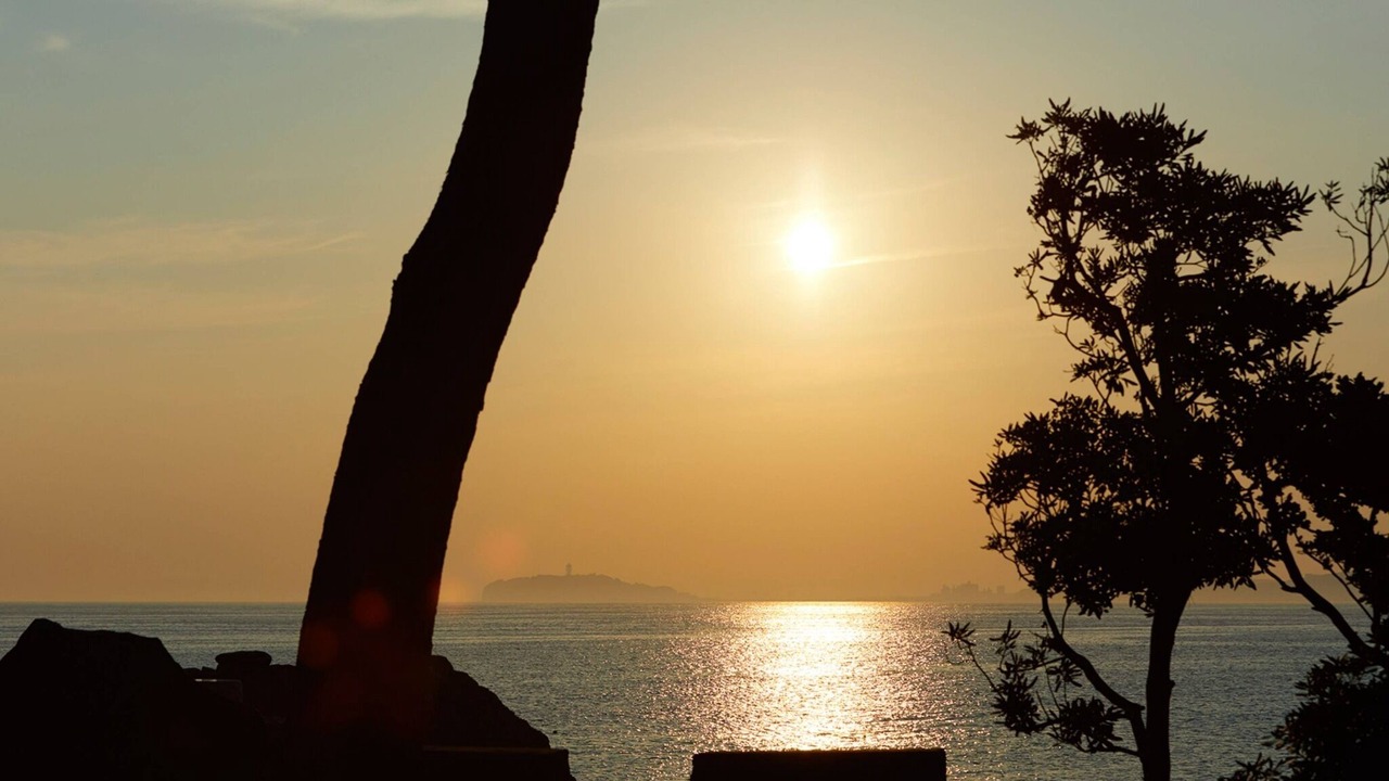 Photo of Others in Hayama