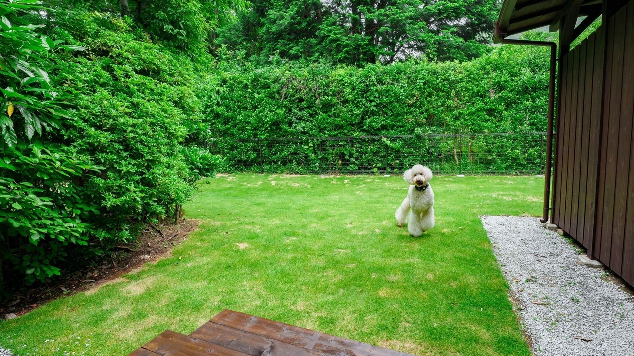 Photo of Outdoor in Ito
