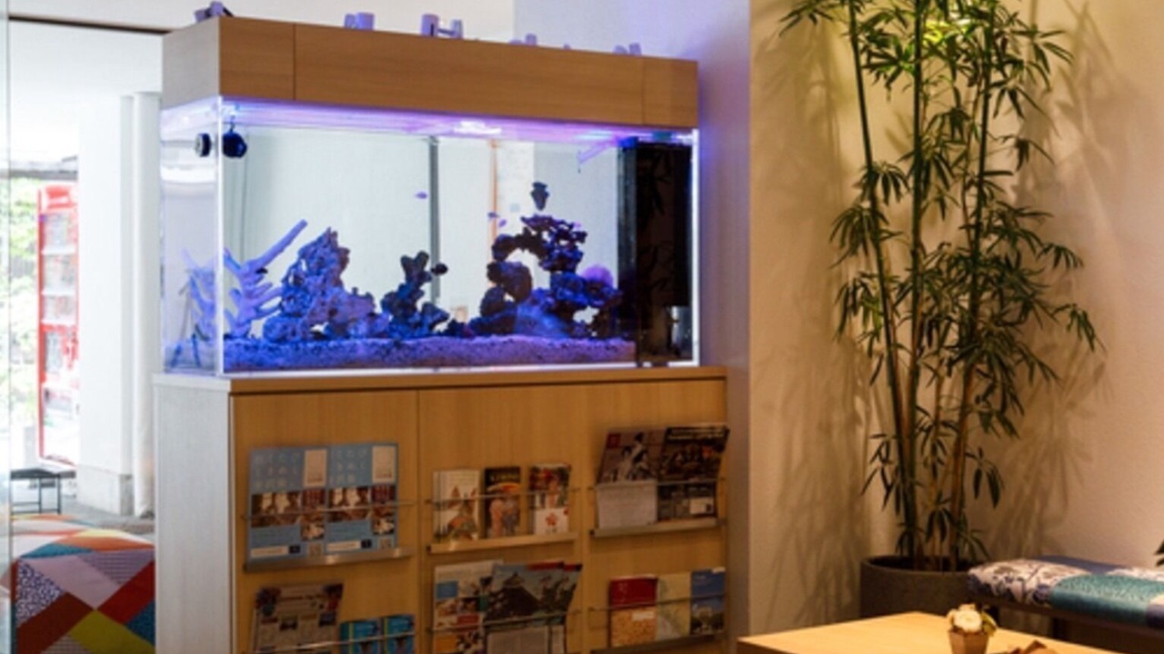 Photo of Others in Kanazawa
