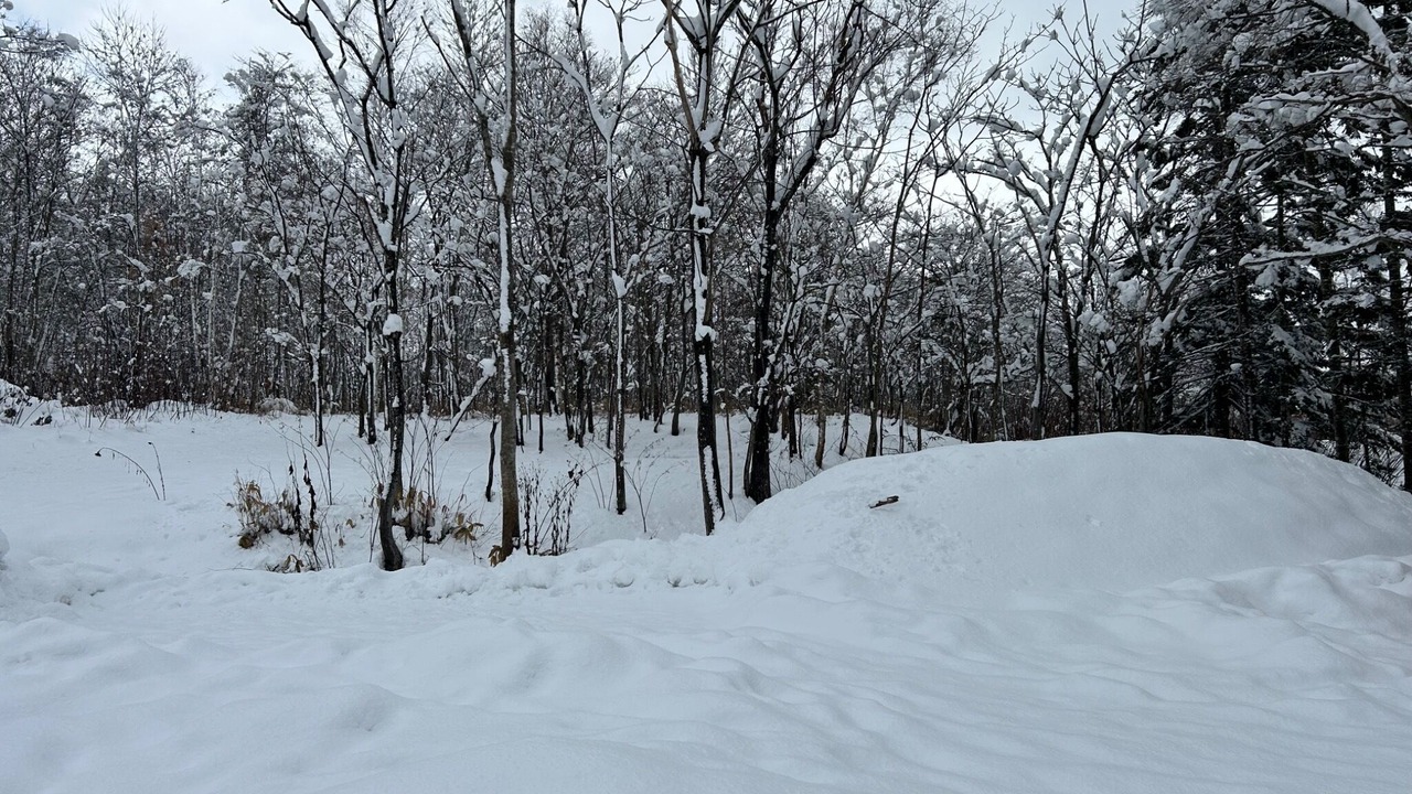 Photo of Outdoor in Niseko