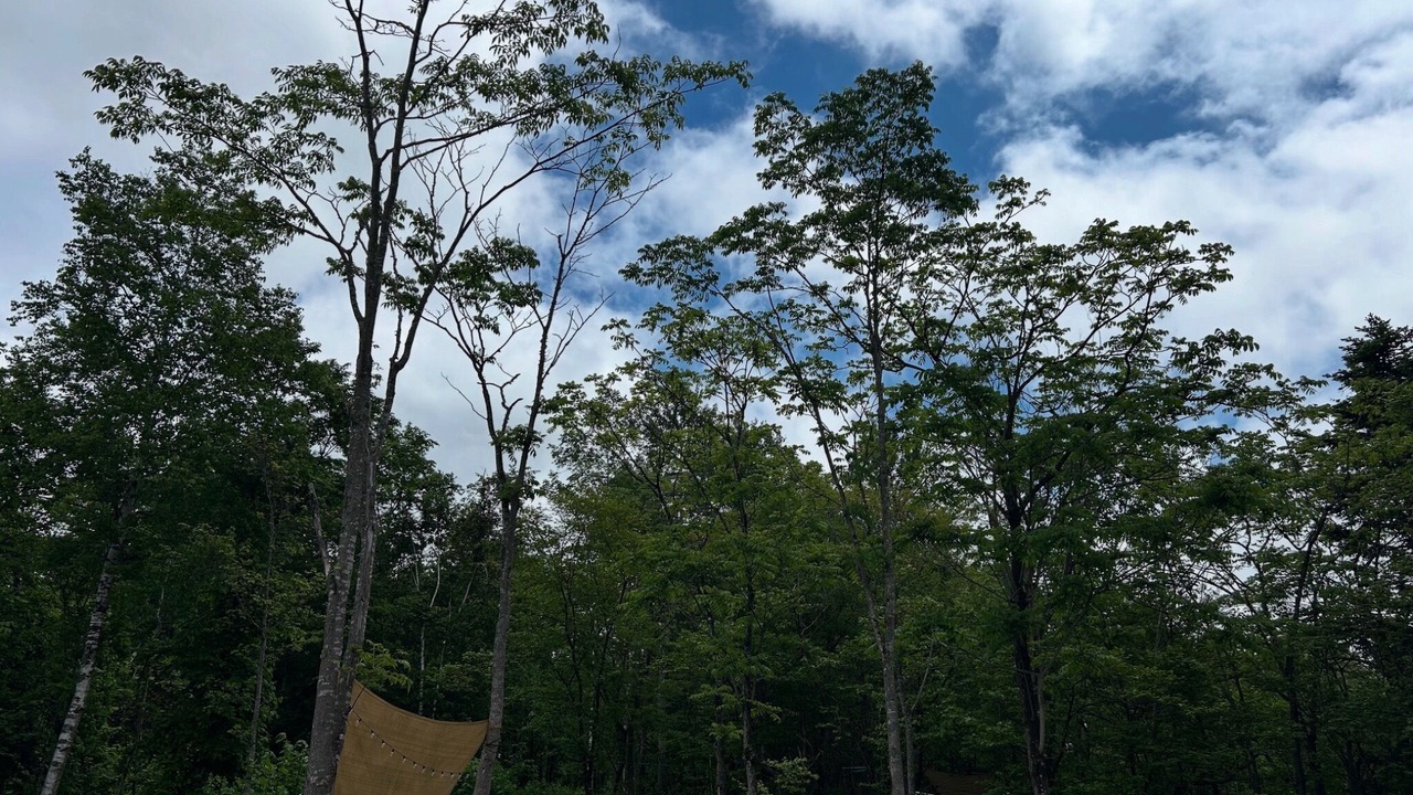 Photo of Others in Niseko