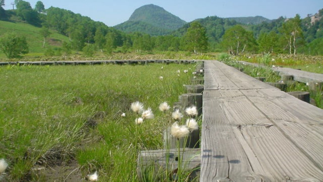 Photo of Outdoor in Shiga Highlands
