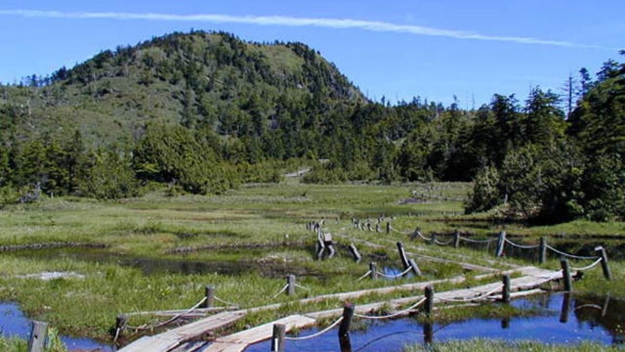 Photo of Others in Shiga Highlands