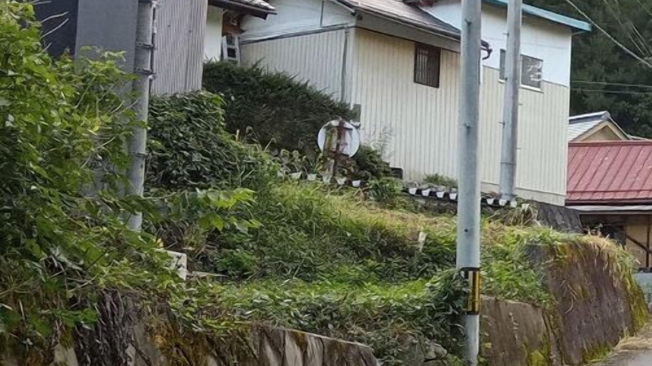 Photo of Others in Takayama-mura