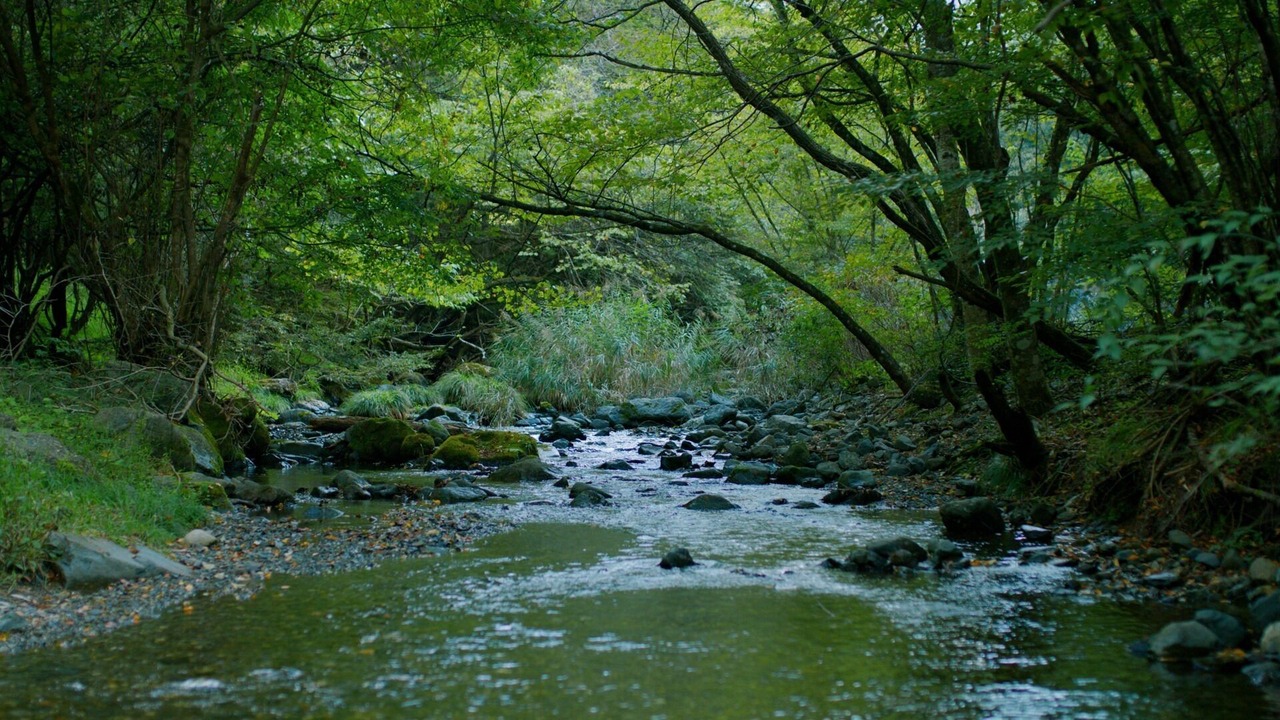 Photo of Others in Tsuru
