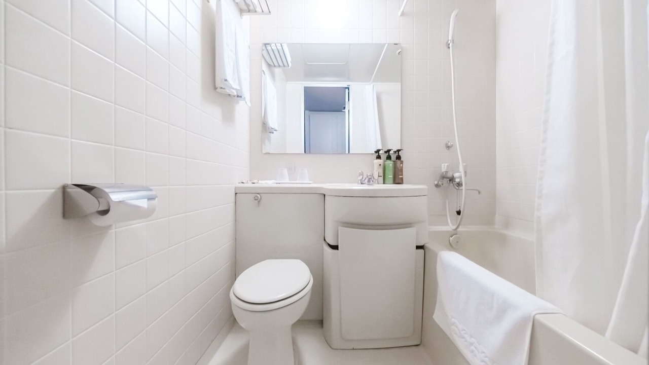 Photo of Bathroom in Odori