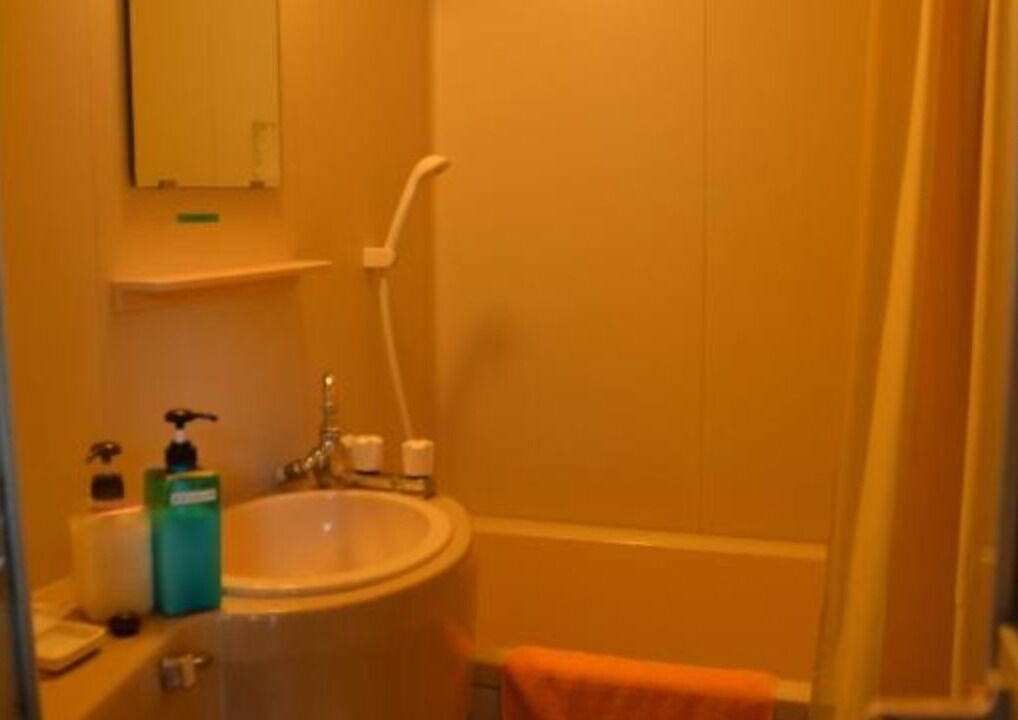 Photo of Bathroom in Iida