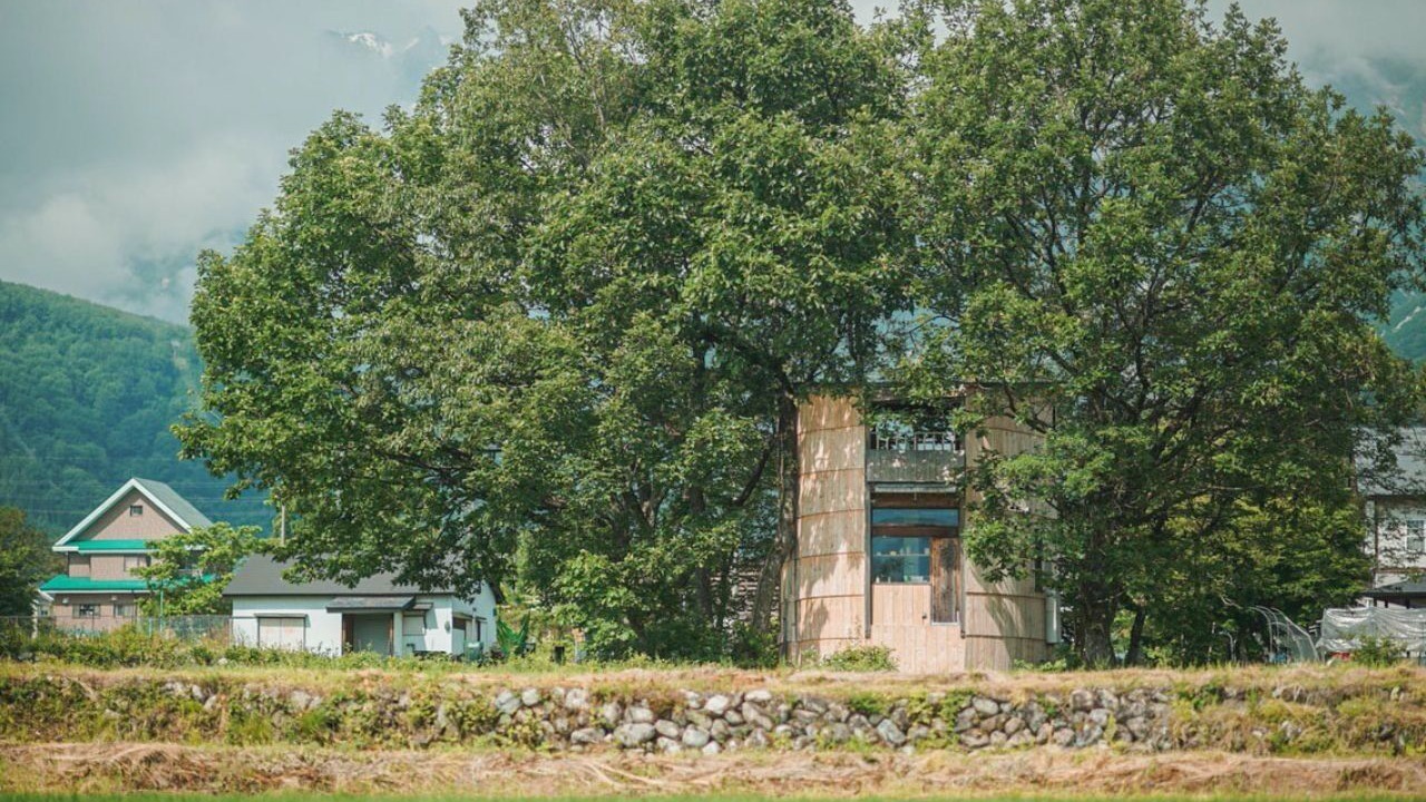 Photo of Others in Hakuba