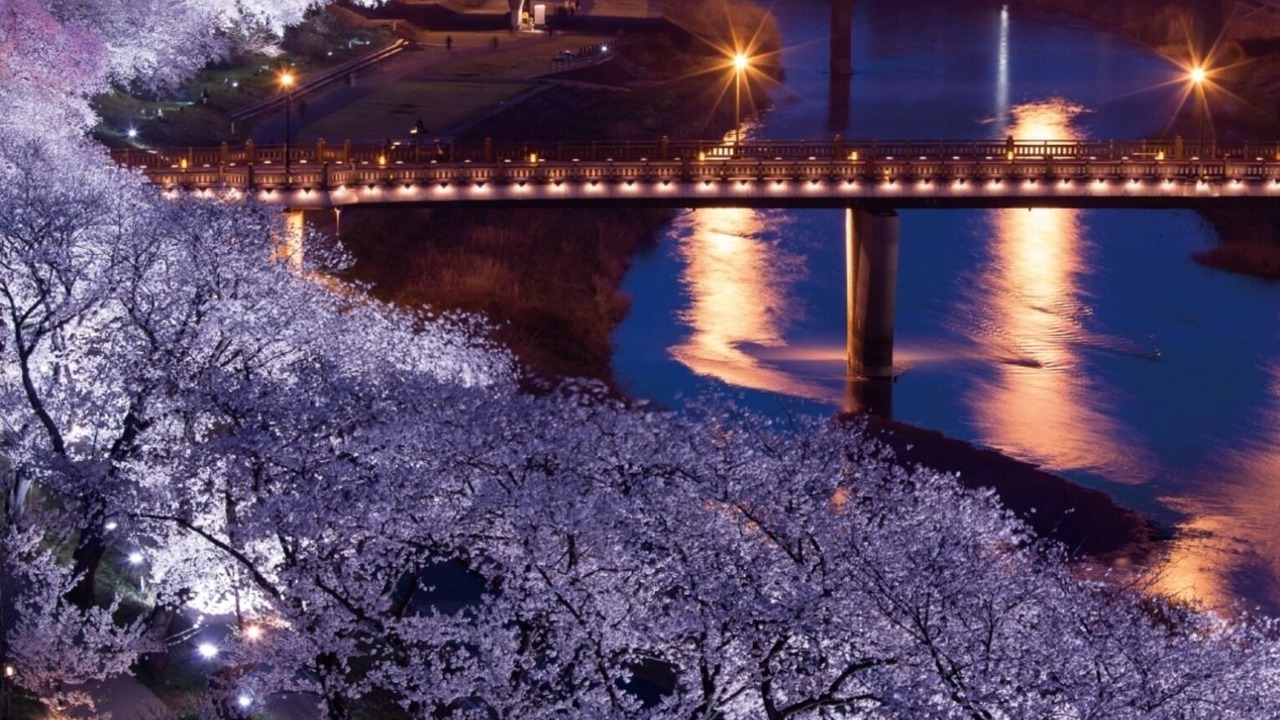 Photo of Others in Fukui