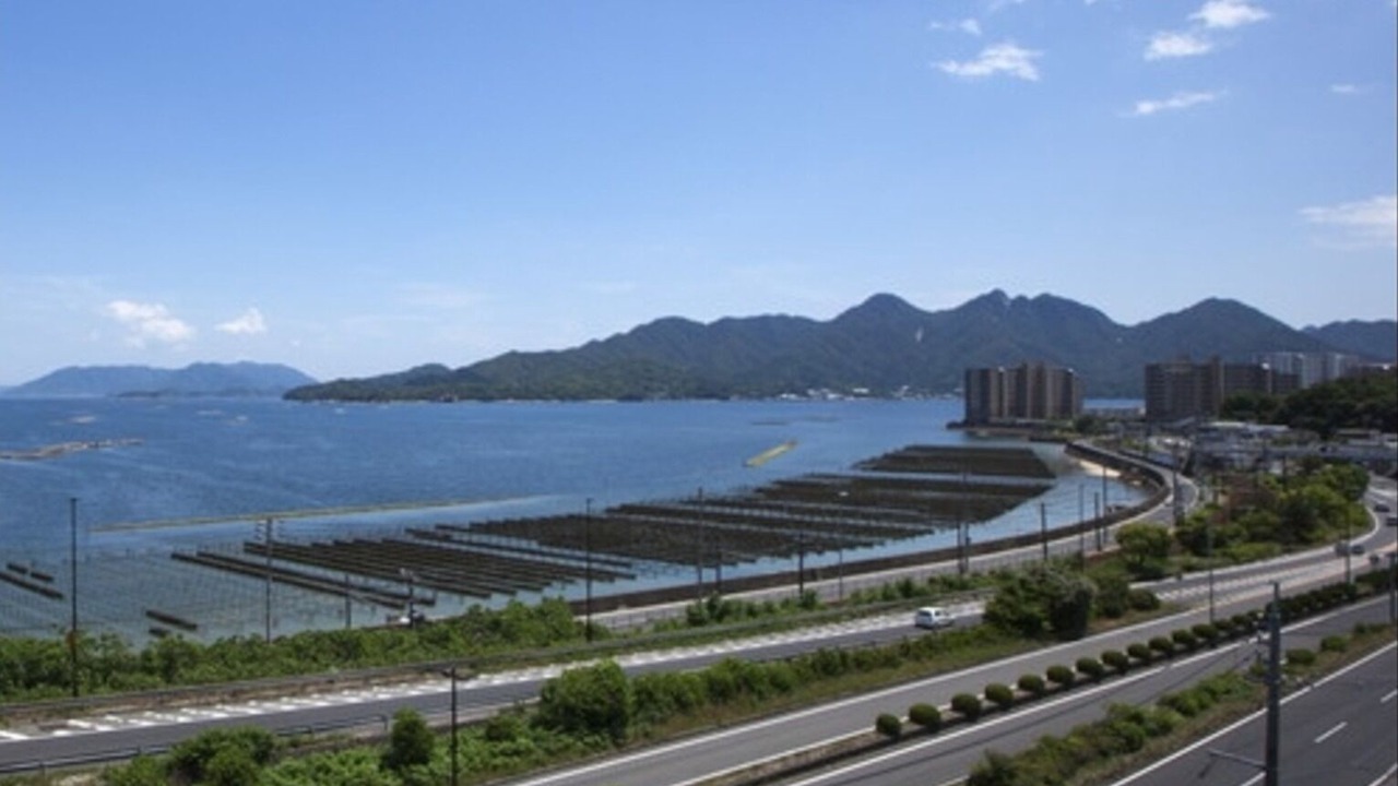 Photo of Others in Hatsukaichi