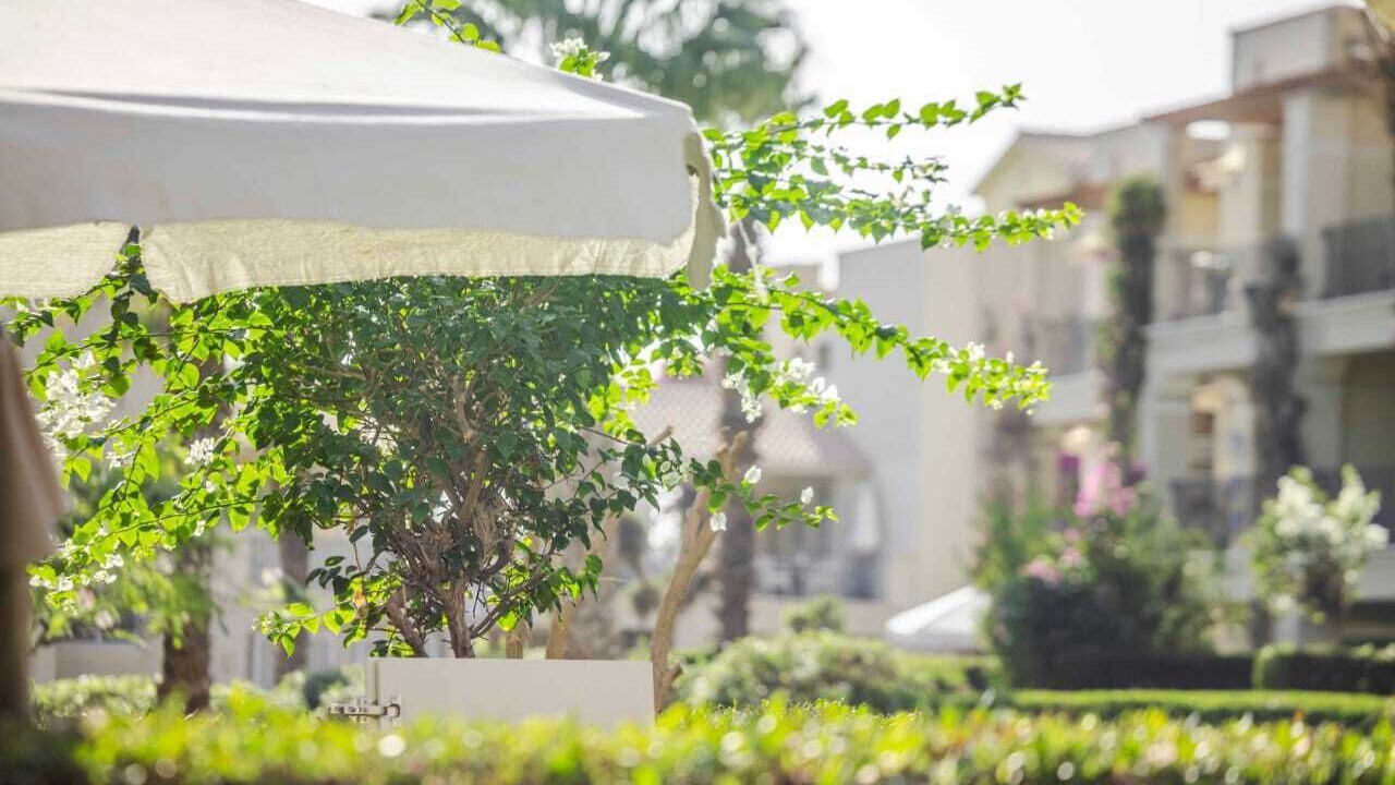 Photo of Outdoor in Sahl Hasheeh