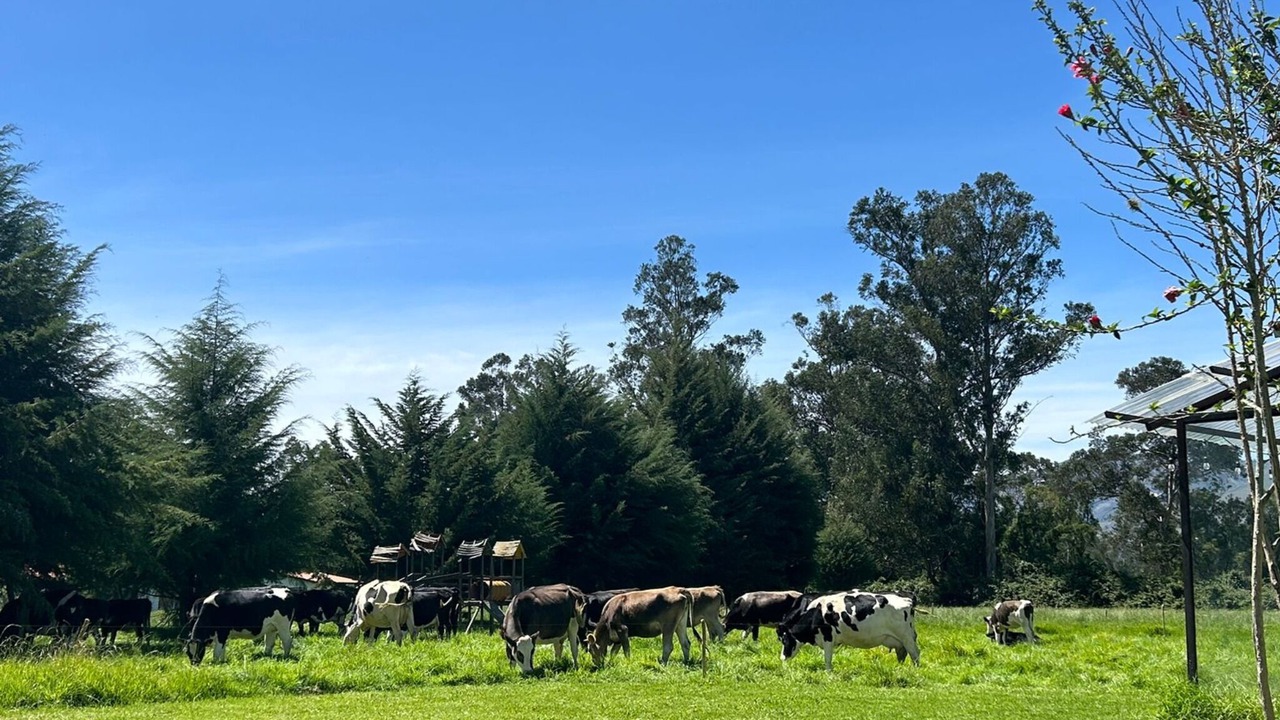 Photo of Others in Cajamarca