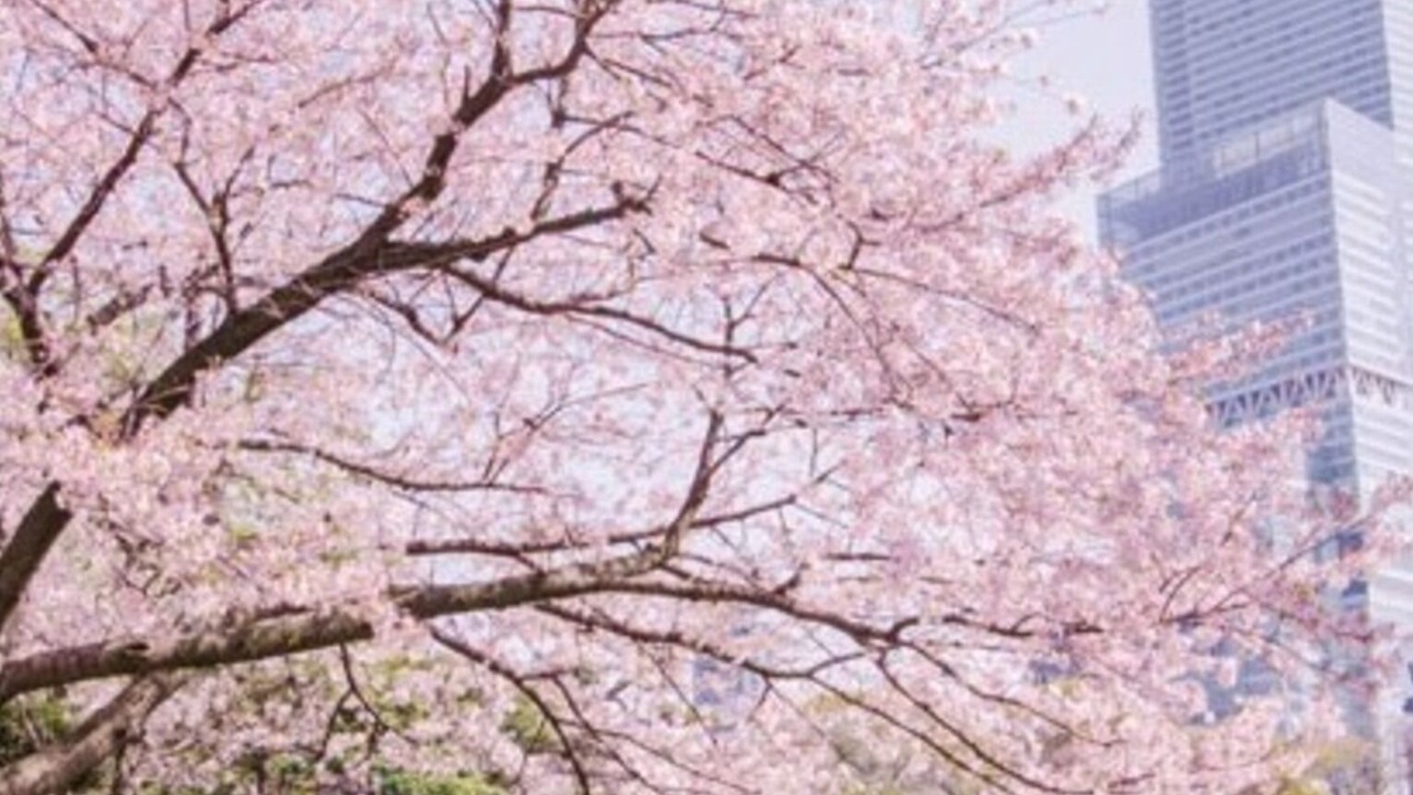 Photo of Others in Nishinari