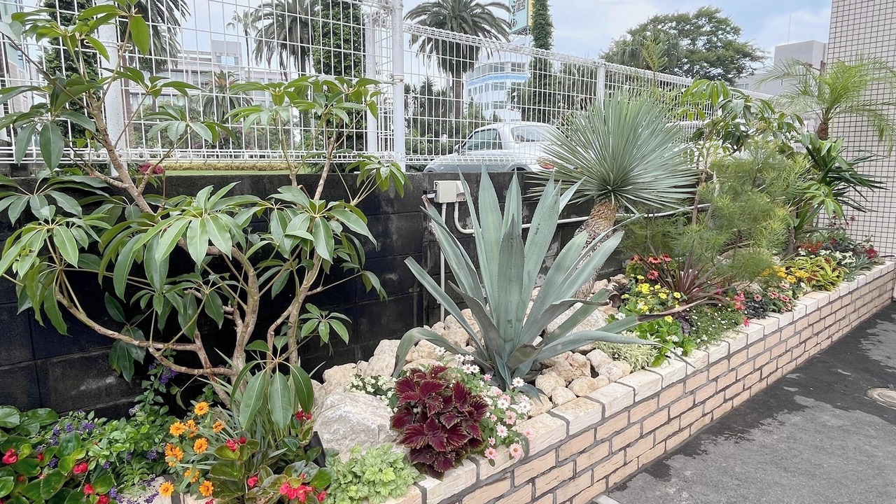 Photo of Outdoor in Miyazaki