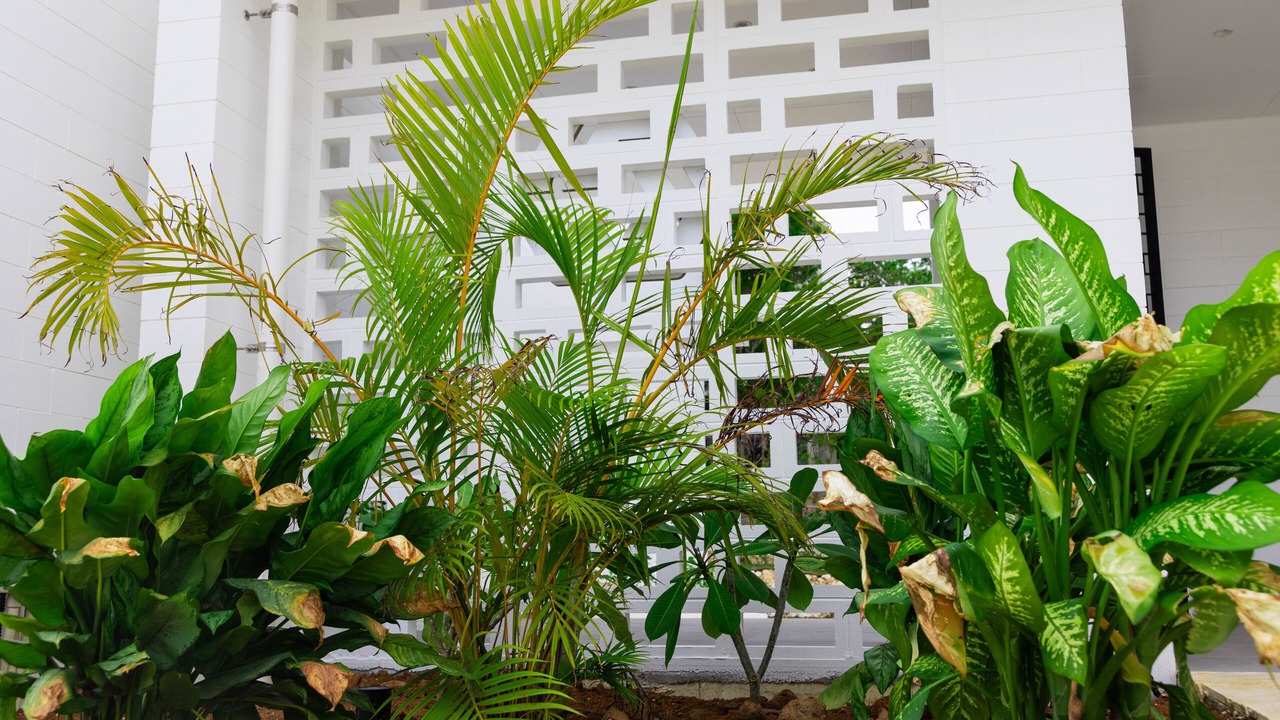 Photo of Outdoor in Miyakojima