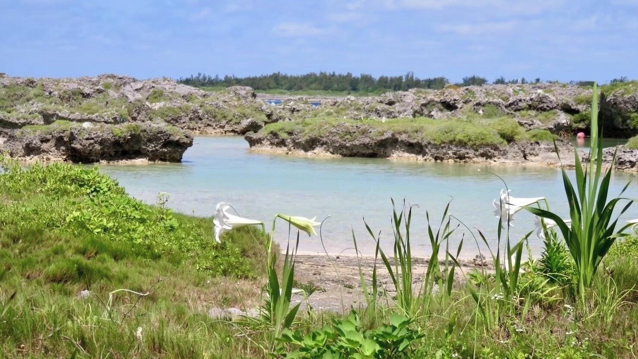 Photo of Others in Kikai Island