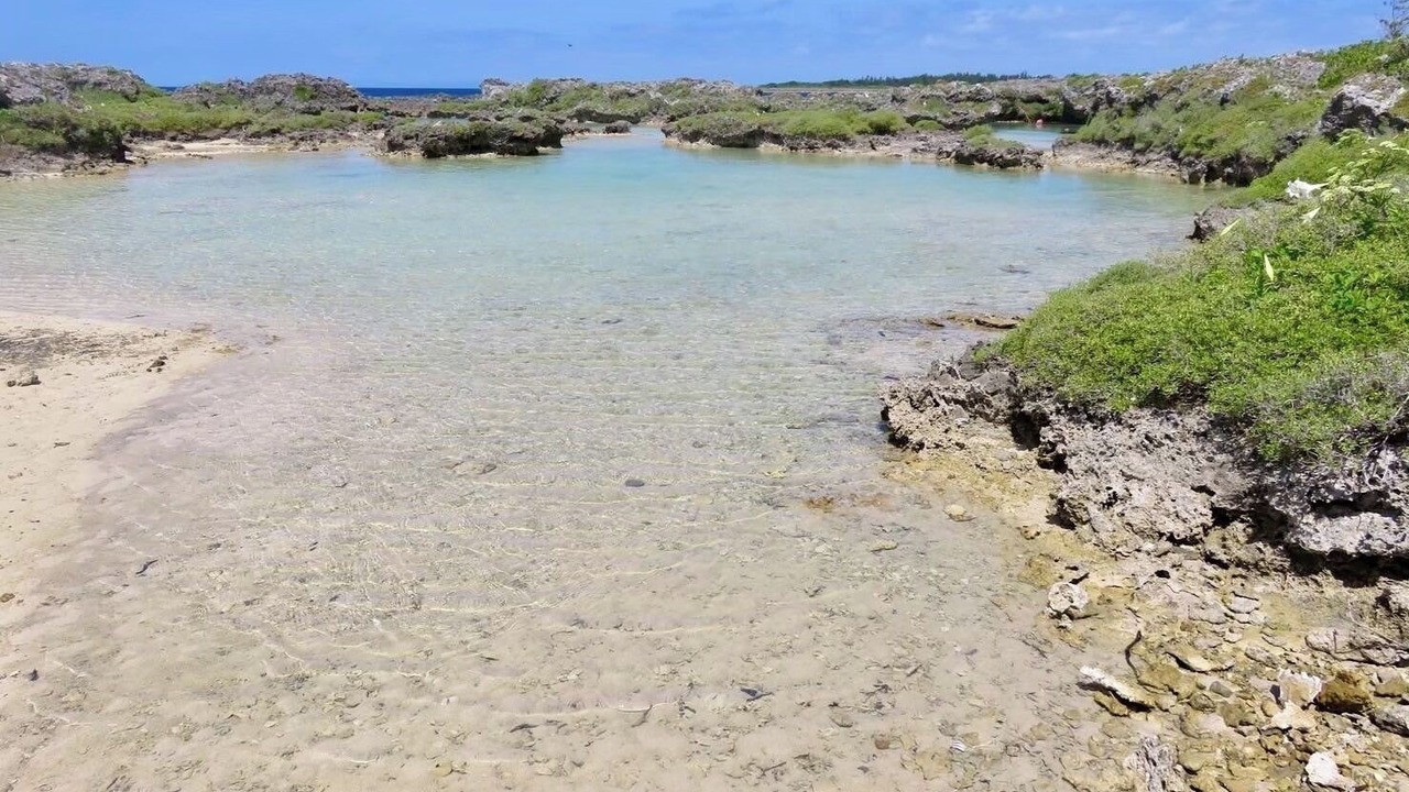Photo of Others in Kikai Island