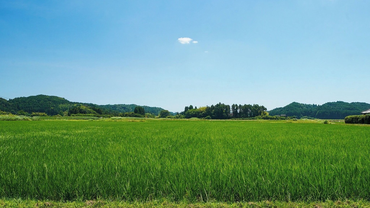 Photo of Others in Isumi