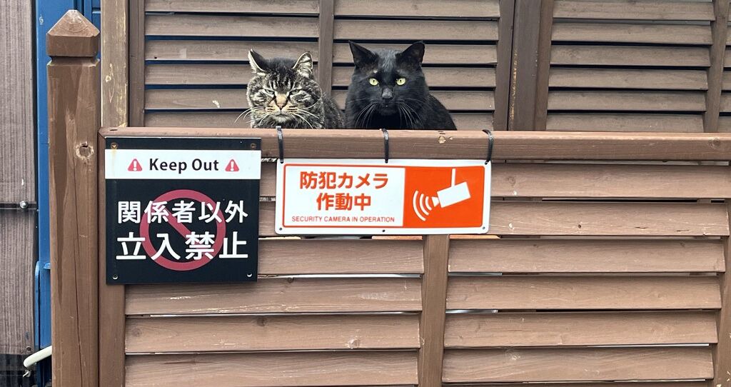 Photo of Others in Kawaguchi