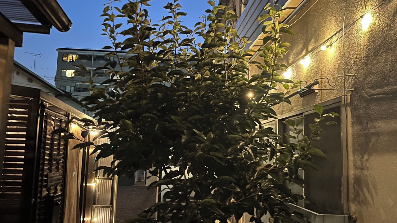 Photo of Outdoor in Kawaguchi