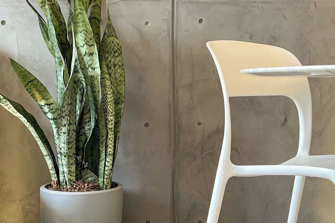 Photo of Others in Chacarilla-Santa Cruz