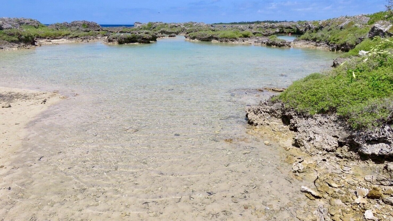 Photo of Others in Kikai Island