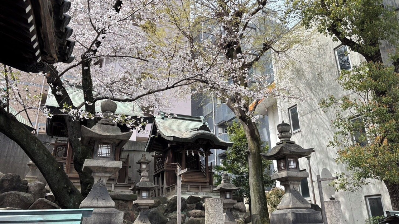 Photo of Others in Kita