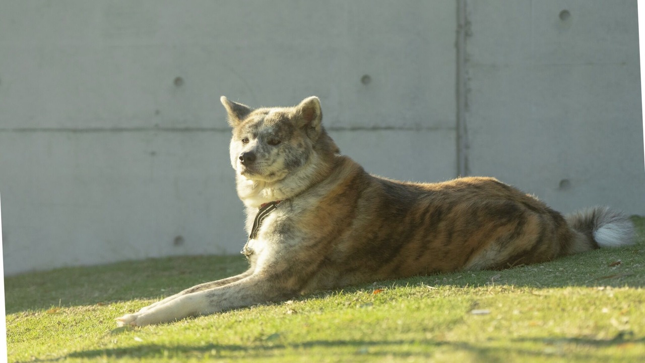 Photo of Outdoor in Maebashi