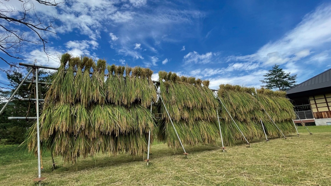 Photo of Outdoor in Kashiwazaki