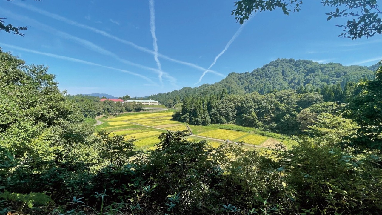 Photo of Others in Kashiwazaki