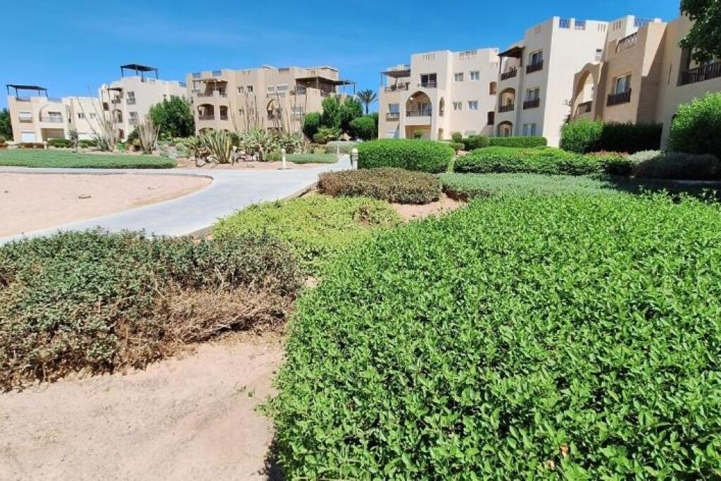 Photo of Outdoor in El Gouna