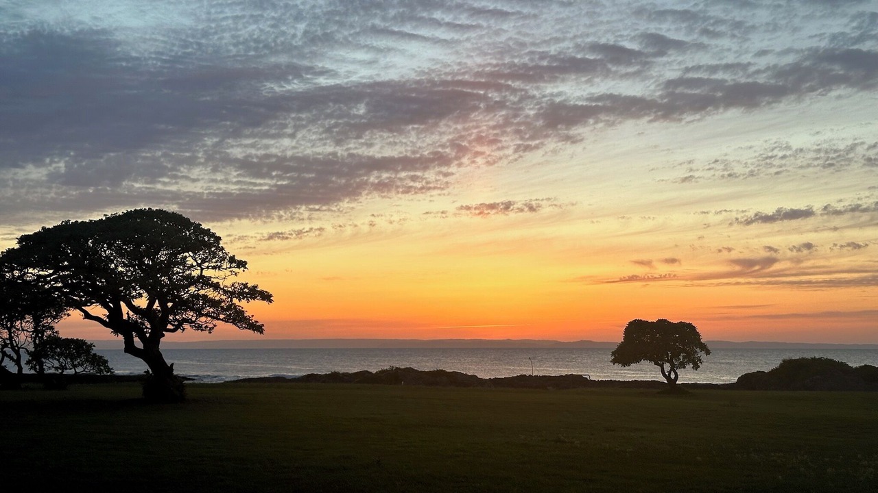 Photo of Others in Kikai Island