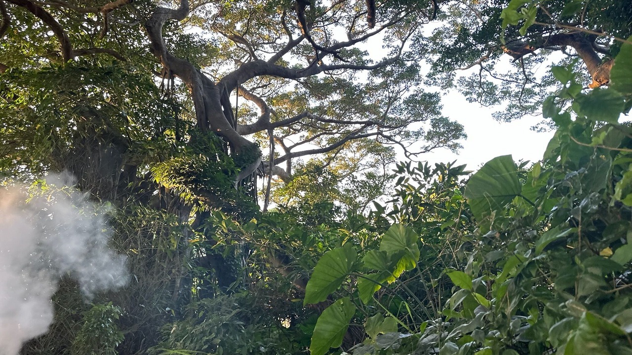Photo of Others in Kikai Island