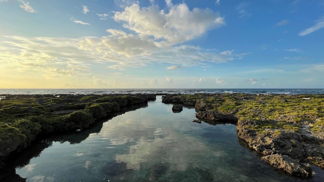 Photo of Others in Kikai Island