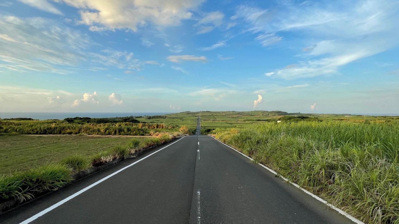 Photo of Others in Kikai Island