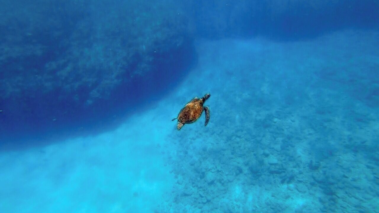Photo of Others in Kikai Island