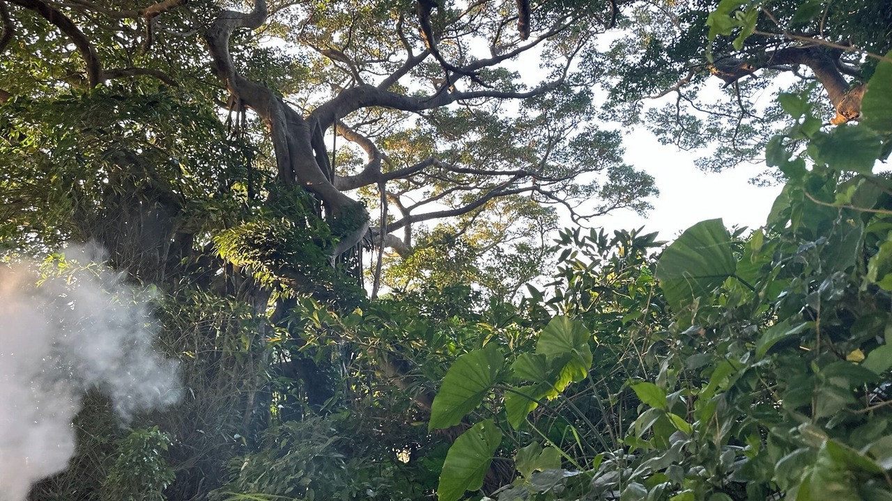 Photo of Others in Kikai Island